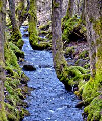 20150118-DSC_1273-Bearbeitet_HDR